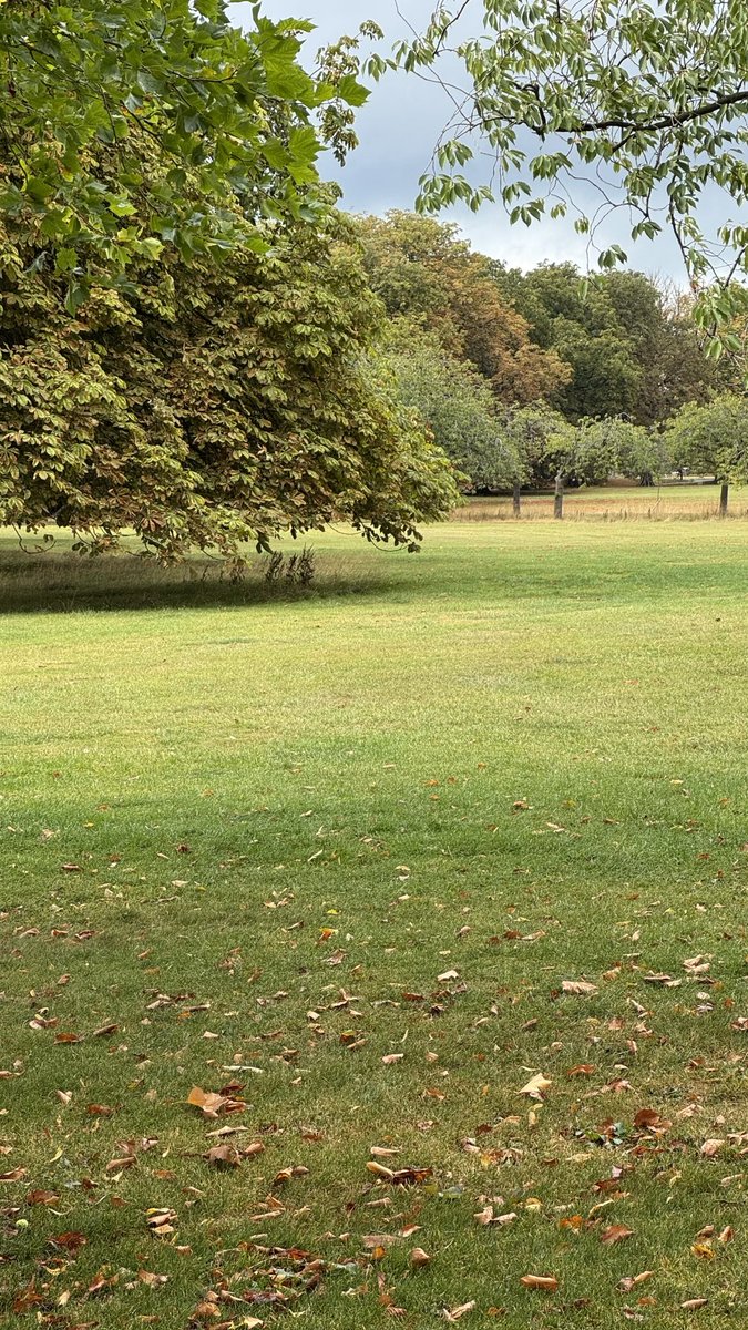 The lovely Harrogate Stray is beginning to look Autumnal ⁦<a href="/The_RHS/">The RHS</a>⁩
