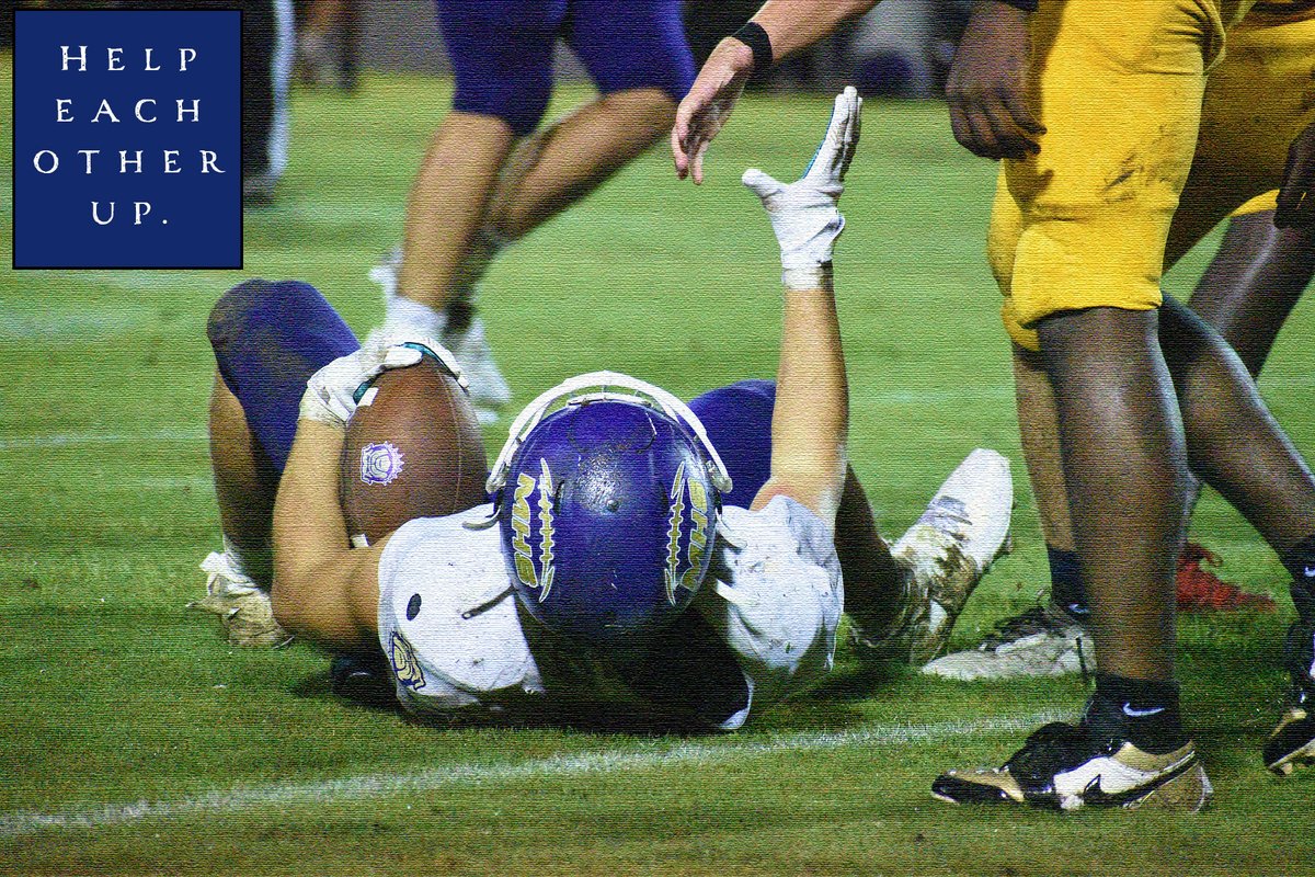 JuneBug'z Garden tweet media