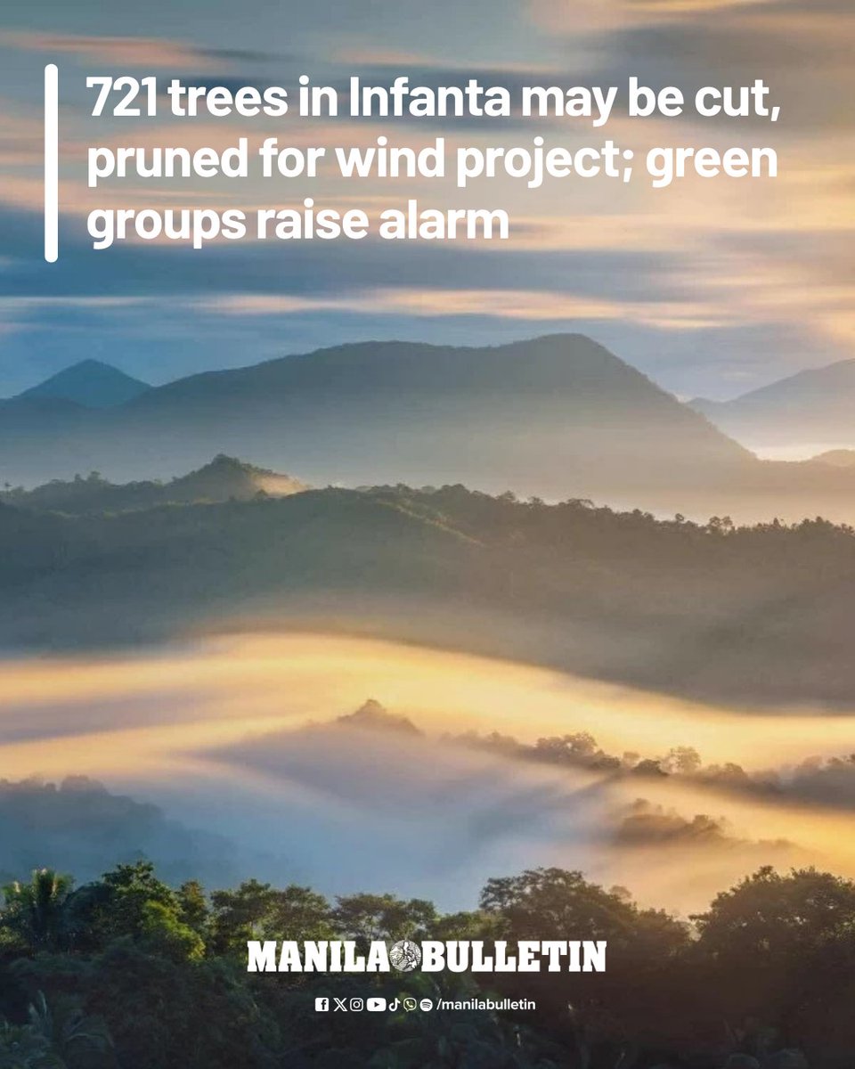 Environmental groups have raised concern over the impending cutting and pruning of 721 trees along the road right-of-way from Barangay Dinahican to Barangay Magsaysay, Infanta, Quezon, for use as a transportation route for wind turbine generator (WTG) materials.

READ: