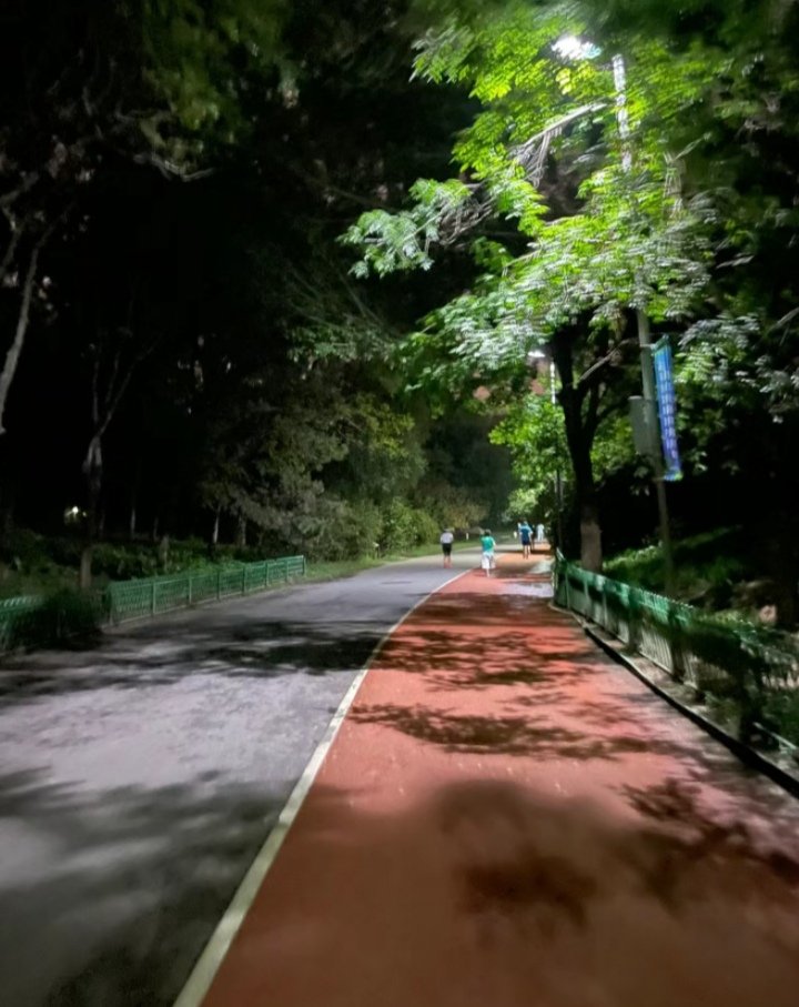 この 涼​し᠎い​夜᠎風はラ​ンニングに適している🏃