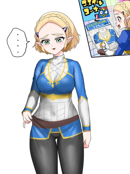 驚安の衣装を買ったら全身タイツにプリントしてあるだけだったゼルダ様