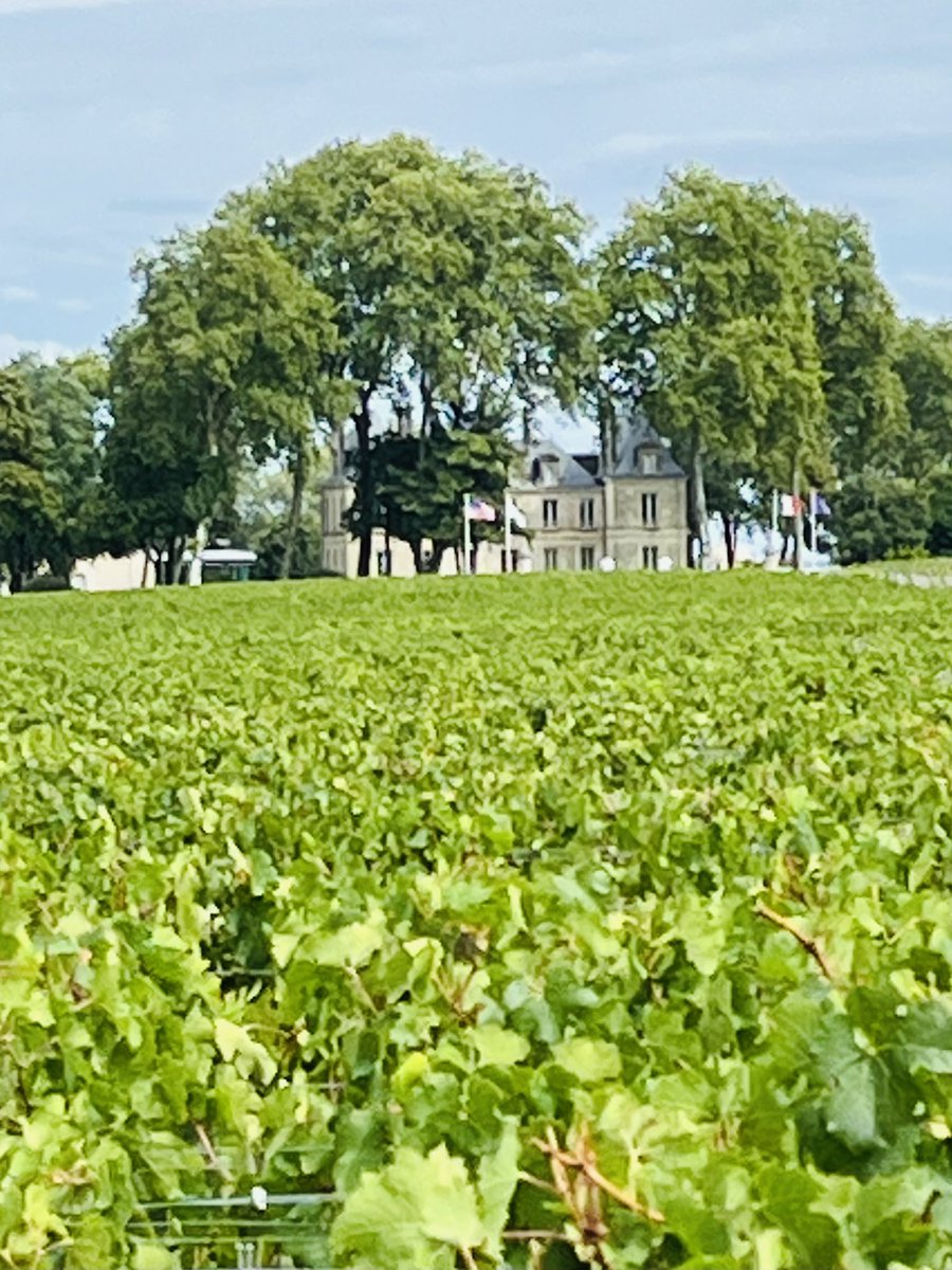 Pichon Comtesse tweet media