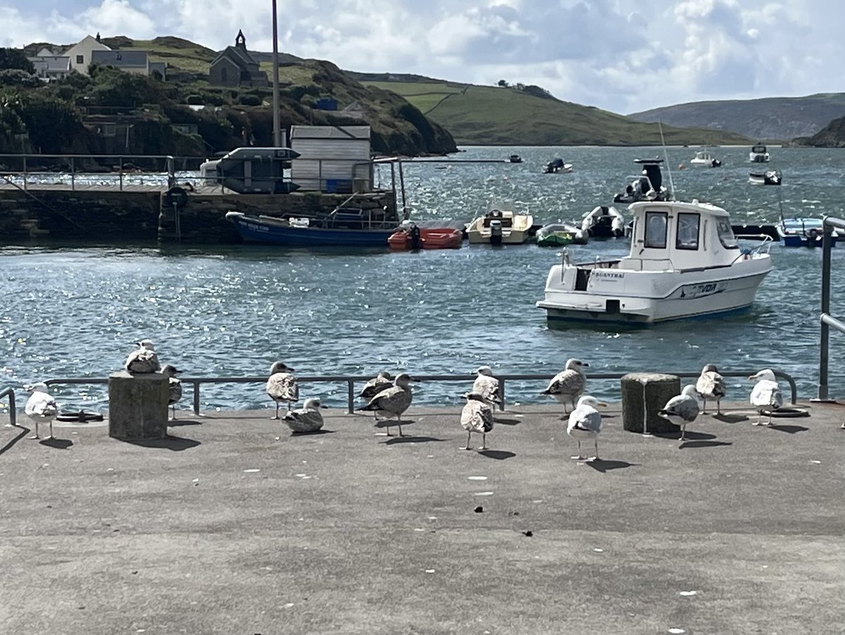 Don’t turn around, he’s behind us! #westcork