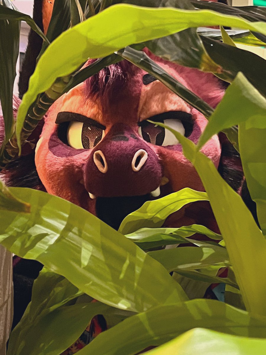 Oakley! 🔜 LVFC, FWA tweet media