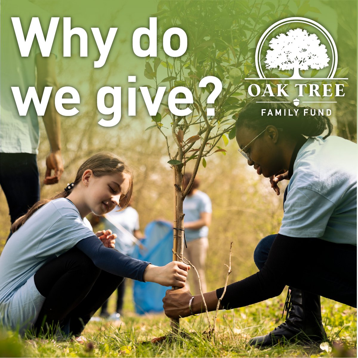 OakTreeFamFund's tweet image. No family should go hungry. Together, we put meals on tables and hope in hearts. 💛 Click to help: oaktreefamilyfund.org

#OakTreeFamilyFund