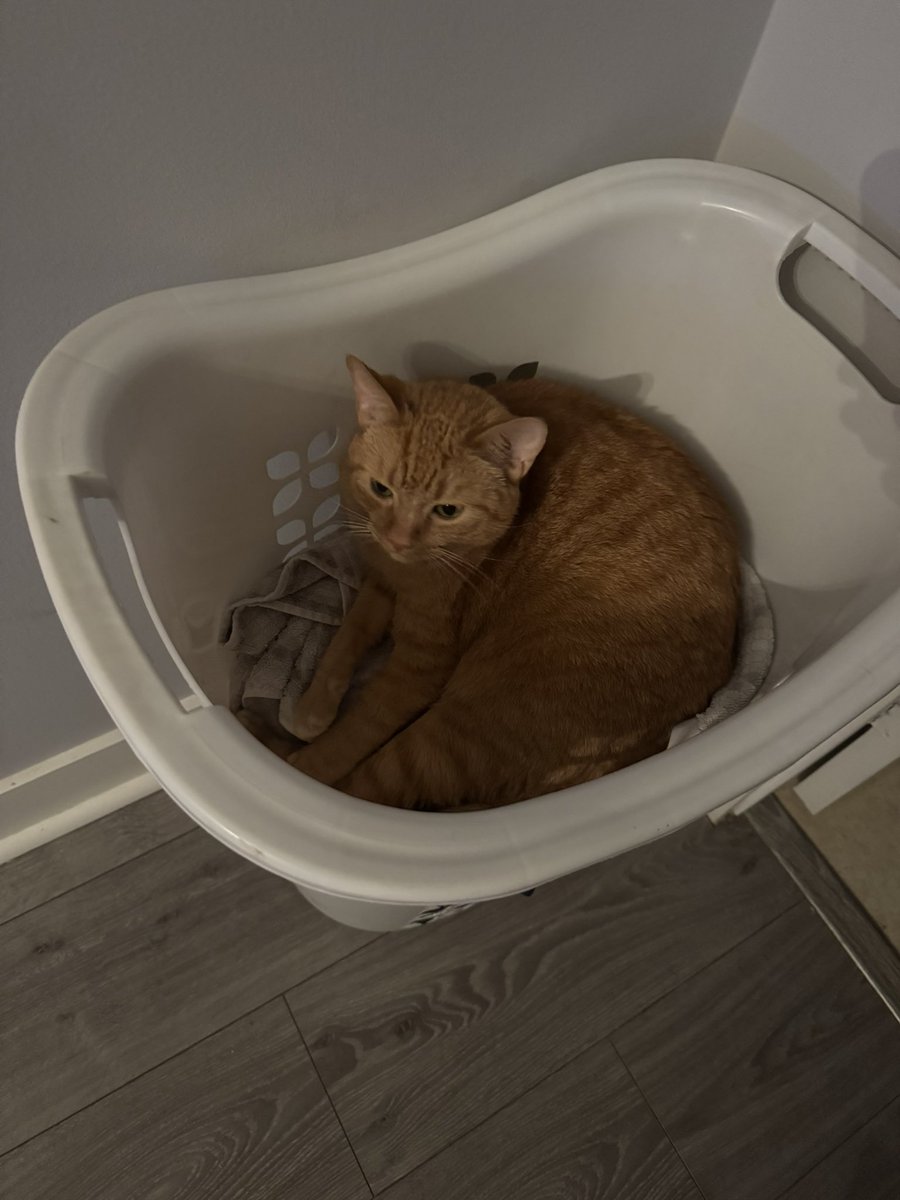 since momb call me tinky so much fine. i’m laundry now