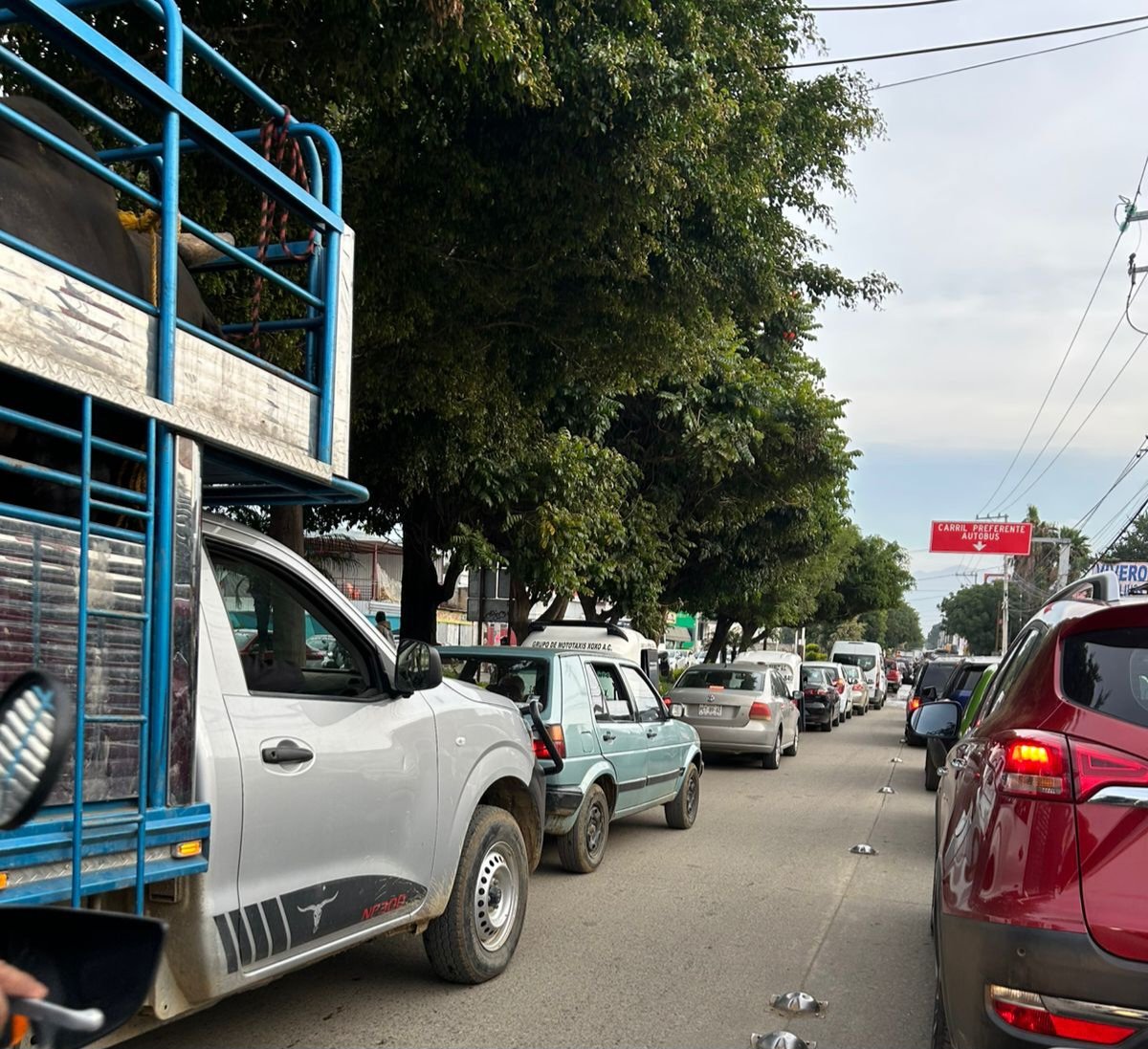 La lengua de Oaxaca (@lalenguaoax) on Twitter photo Oye <a href="/Nancy_Benitez_/">Nancy Benítez</a> ya va es hora que dejes de autorizar fraccionamientos en #SantaCruzXoxocotlán , las vialidades son insuficientes además que no les das mantenimiento y eso se traduce en horas para poder salir del municipio hacia escuelas y trabajos.
Operativo vial urgente Oye <a href="/Nancy_Benitez_/">Nancy Benítez</a> ya va es hora que dejes de autorizar fraccionamientos en #SantaCruzXoxocotlán , las vialidades son insuficientes además que no les das mantenimiento y eso se traduce en horas para poder salir del municipio hacia escuelas y trabajos.
Operativo vial urgente