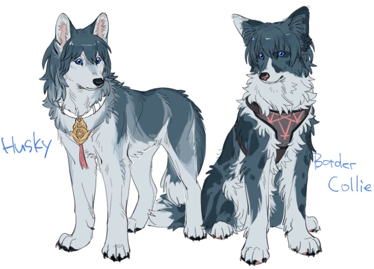 这次真的是狗了