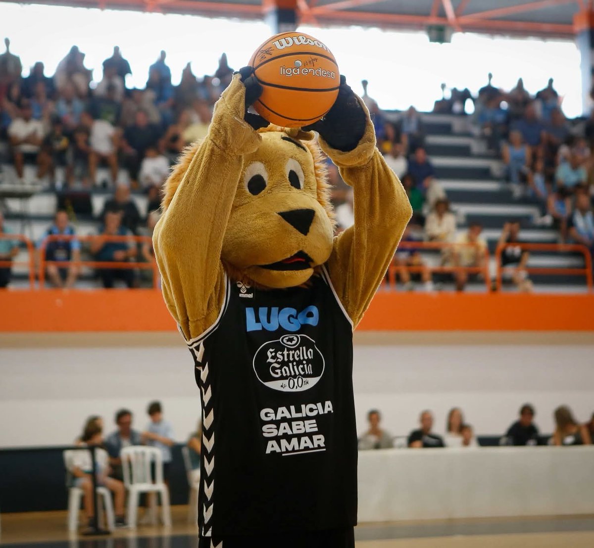 Disque haberá leóns pola Mosqueira 😉🩵🦁