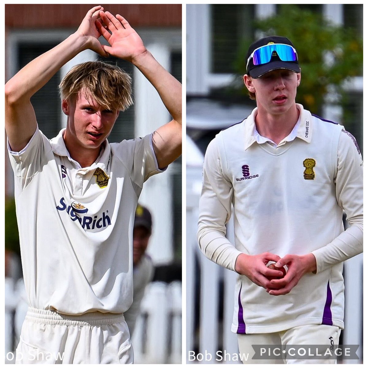 CheshireCCC tweet media