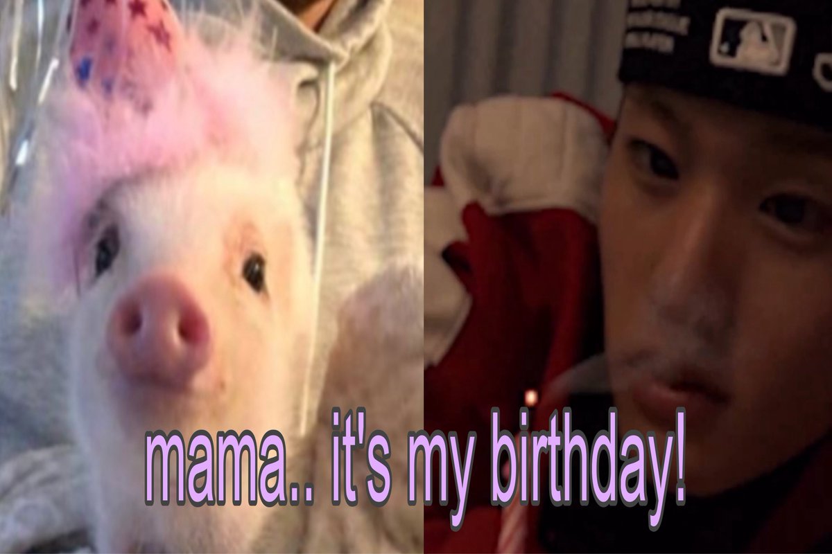 🎂🐽