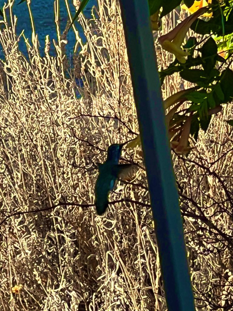 Flawwed1 tweet media