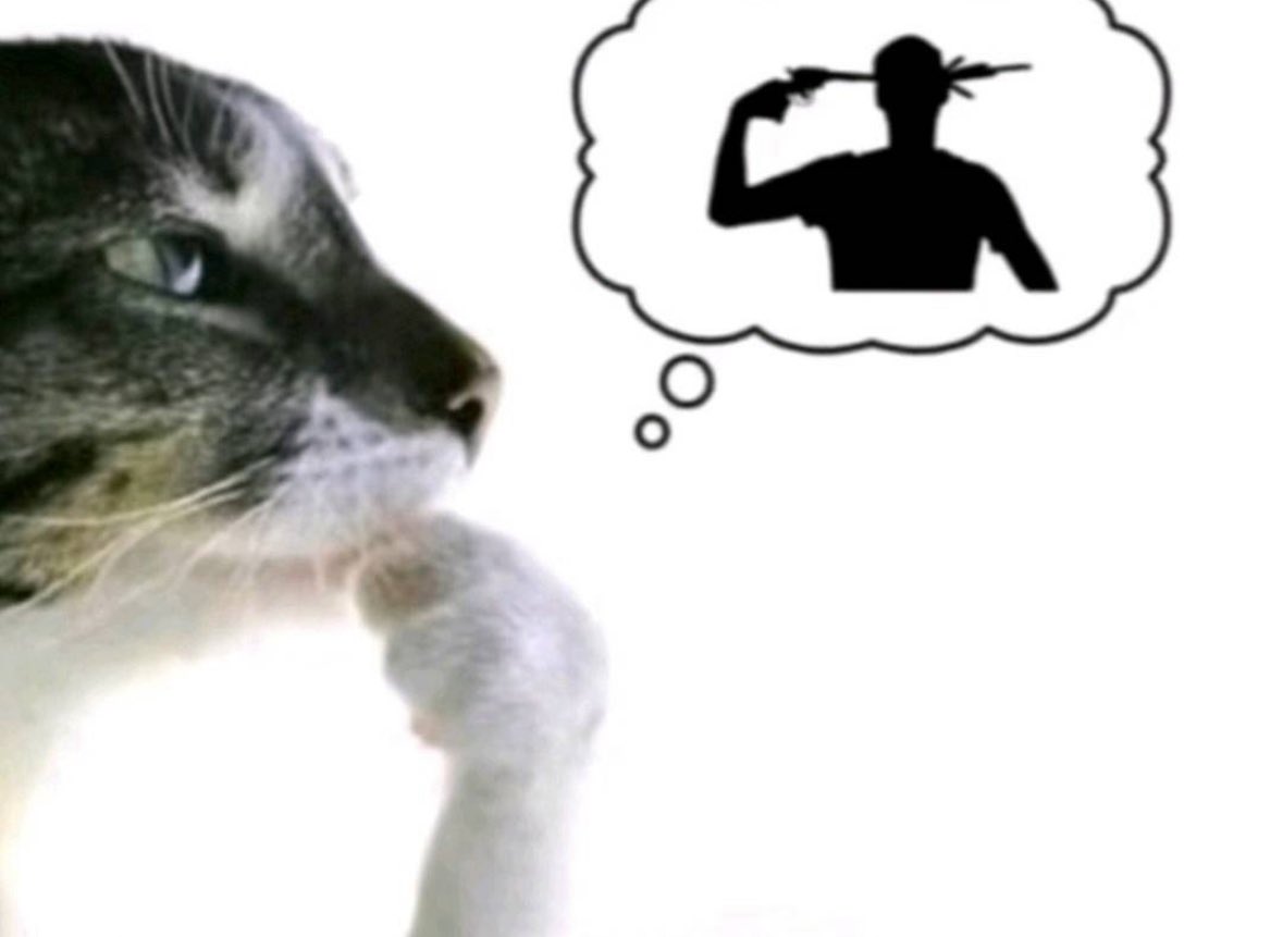 Sneapky :) tweet media