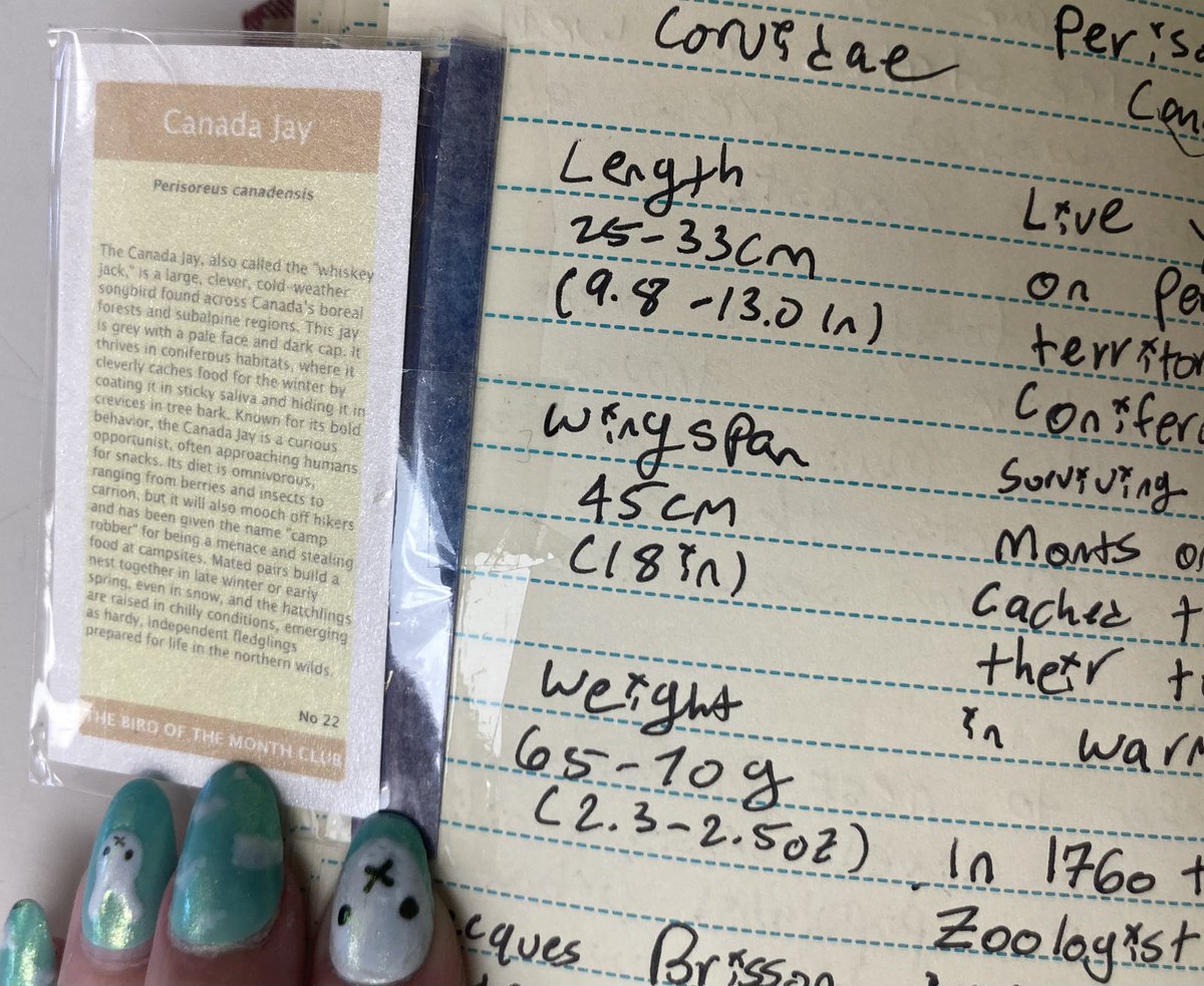 Feburarys BOTM from <a href="/cookiedoves/">m e e s h 🕊</a> im so behind on these but ima catch up by october! planning on finally doing the flip through of this book aswell! I love corvids and I really enjoyed reading about these absolute murders!