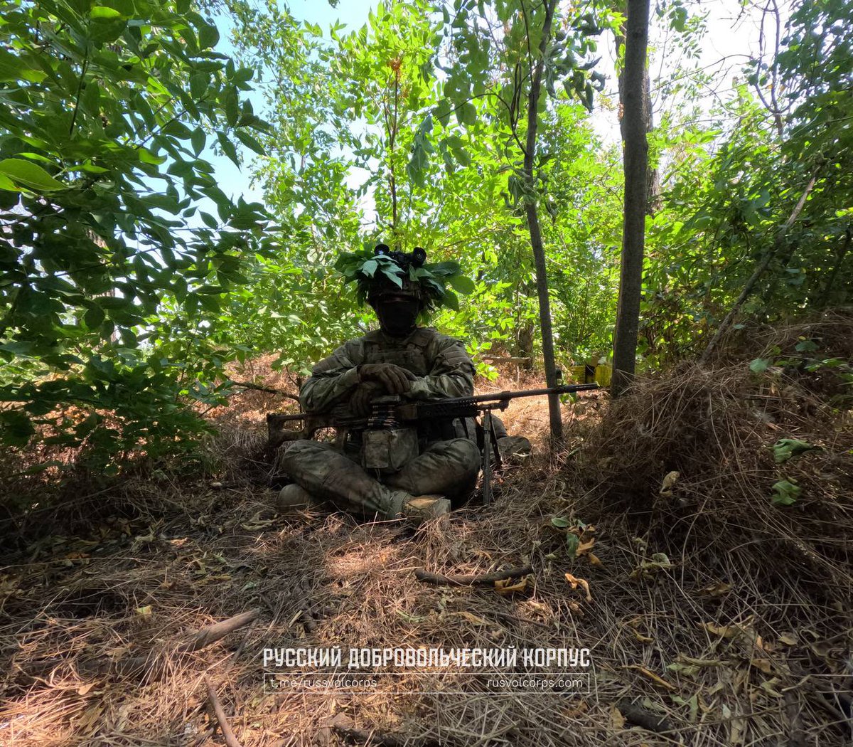 Denis WhiteRex tweet media