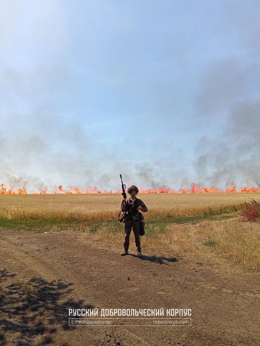 Denis WhiteRex tweet media