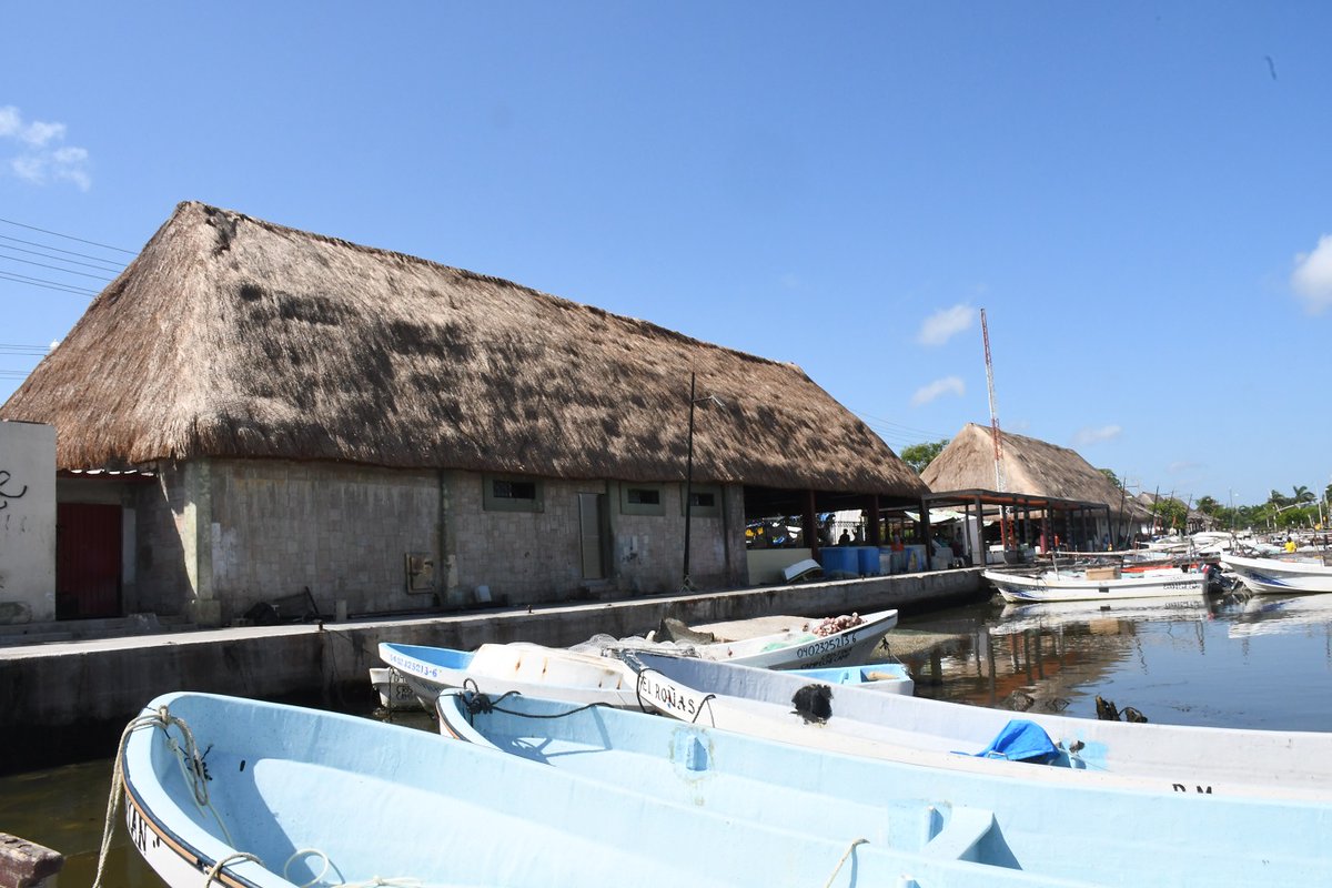 apicampeche's tweet image. En beneficio de pescadores del sector ribereño, comerciantes y familias que adquieren productos frescos del mar, realizamos  trabajos de rehabilitación en las dos palapas del refugio pesquero “7 de agosto. #Apicam #GobiernoDeTodos @LaydaSansores.
