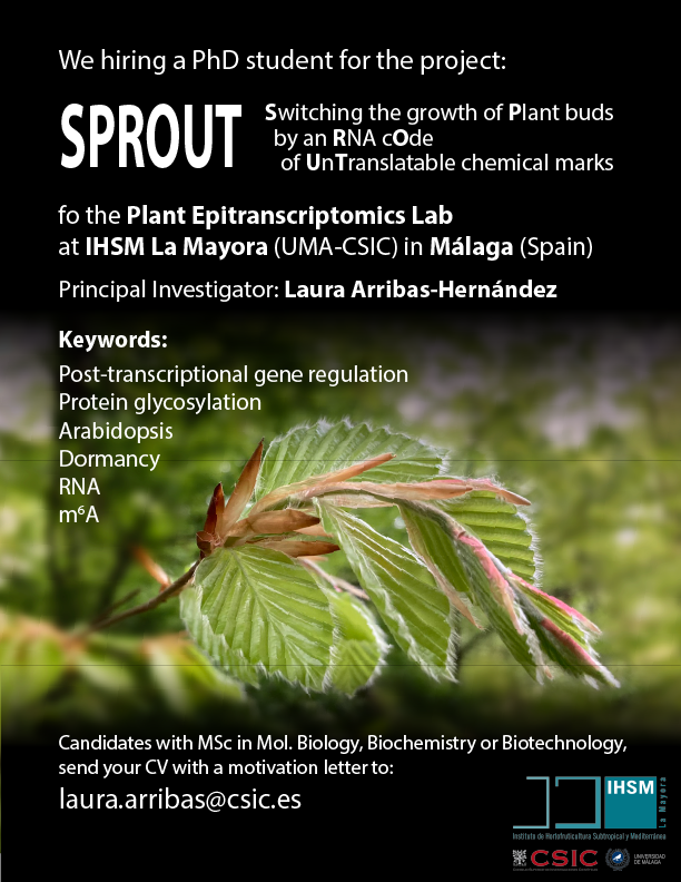 Laura Arribas-Hernández (@laurha_ah) on Twitter photo We are hiring a hiring a PhD student (FPI) for the
🧬🌱Plant Epitranscriptomics Lab 🧬🌱
at IHSM La Mayora <a href="/IHSM_CSIC_UMA/">IHSM La Mayora</a>
to study the role of m6A in axillary bud dormancy.
Motivated candidates send CV and motivation letter to: ✉️laura.arribas@csic.es
📆 until Sep 30th We are hiring a hiring a PhD student (FPI) for the
🧬🌱Plant Epitranscriptomics Lab 🧬🌱
at IHSM La Mayora <a href="/IHSM_CSIC_UMA/">IHSM La Mayora</a>
to study the role of m6A in axillary bud dormancy.
Motivated candidates send CV and motivation letter to: ✉️laura.arribas@csic.es
📆 until Sep 30th