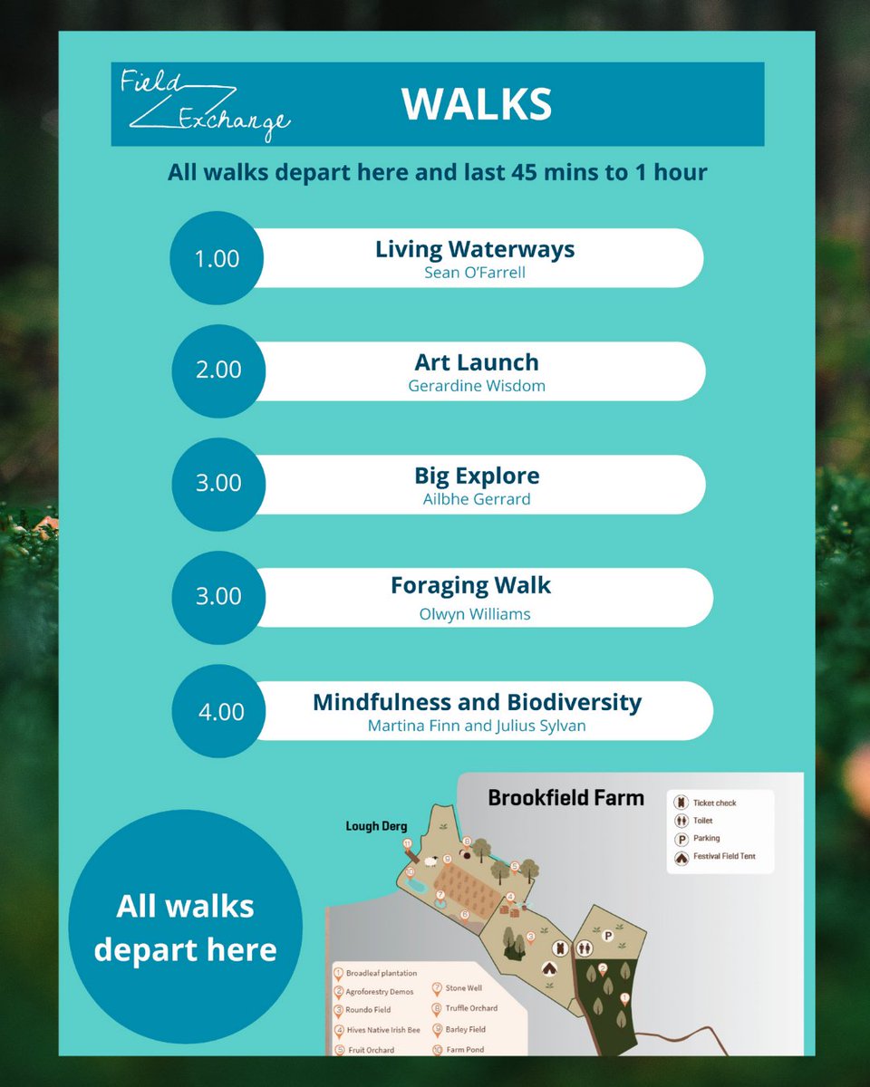 Brookfield Farm tweet media