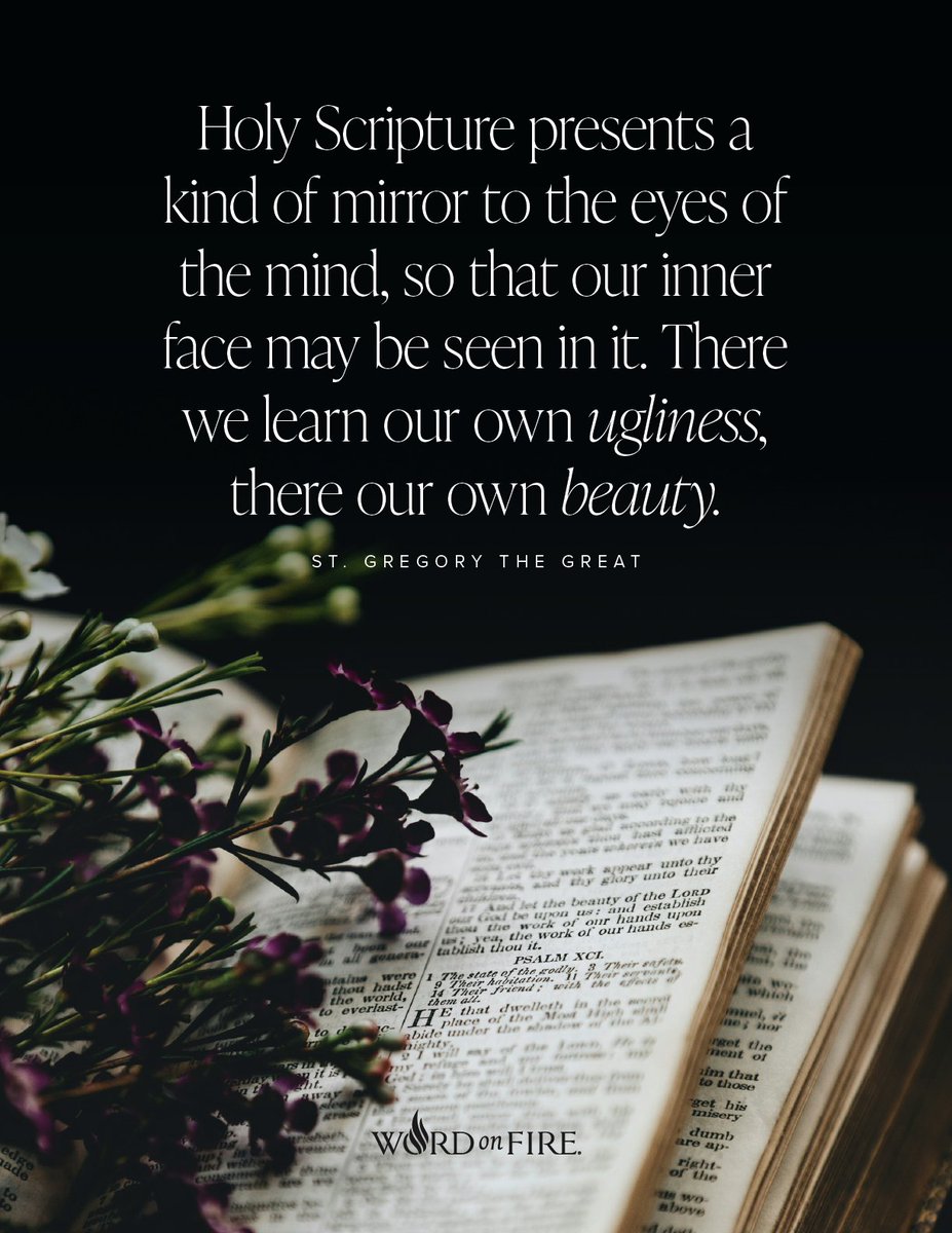 “Holy Scripture presents a kind of mirror to the eyes of the mind, so that our inner face may be seen in it. There we learn our own ugliness, there our own beauty.” —St. Gregory the Great