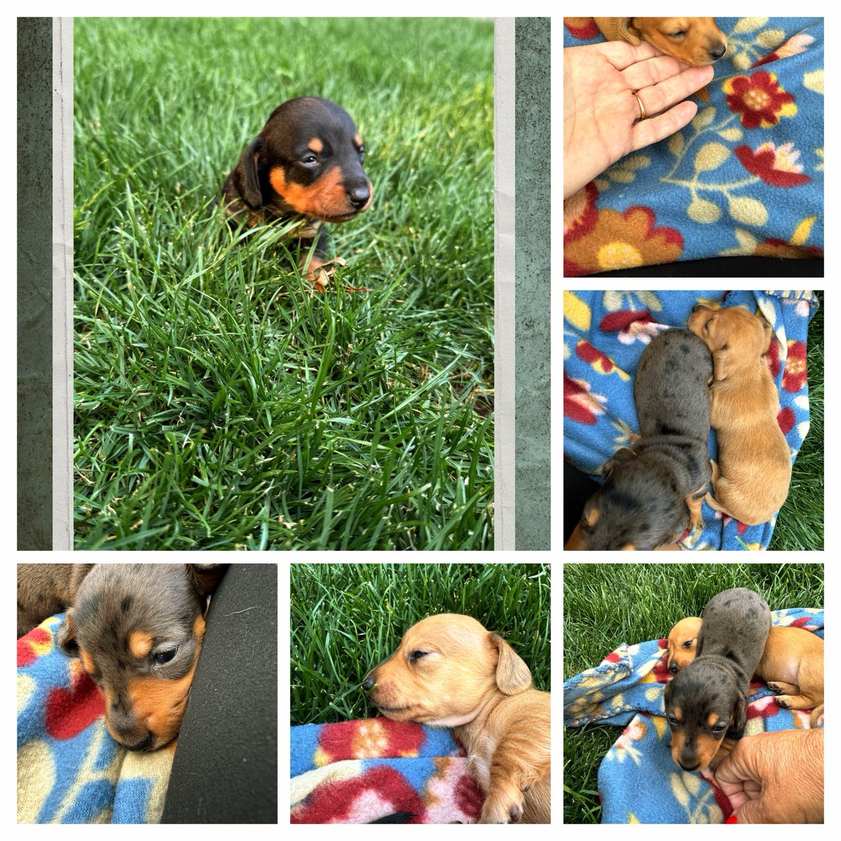 Sandy Harper tweet media