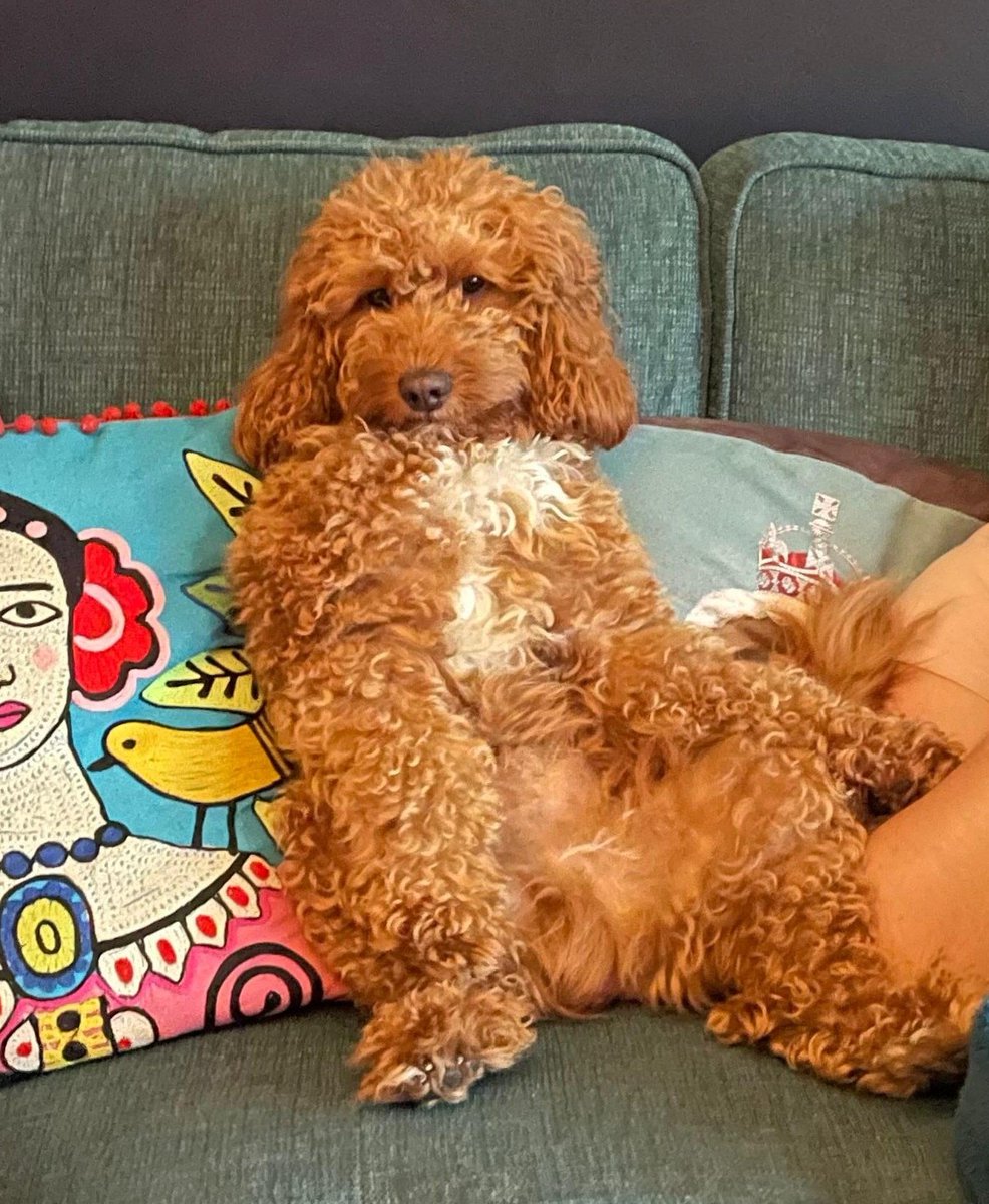 Element7991's tweet image. I love him so much guys