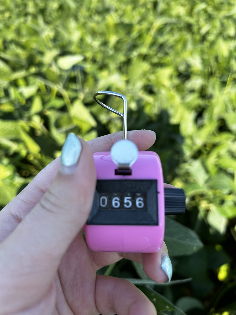 Out in Essex County today- yields look great for both soys &amp; corn! #GLGTour2025