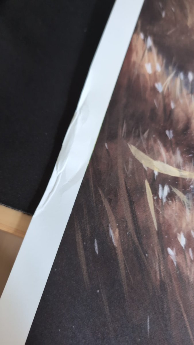 Oskratos tweet media