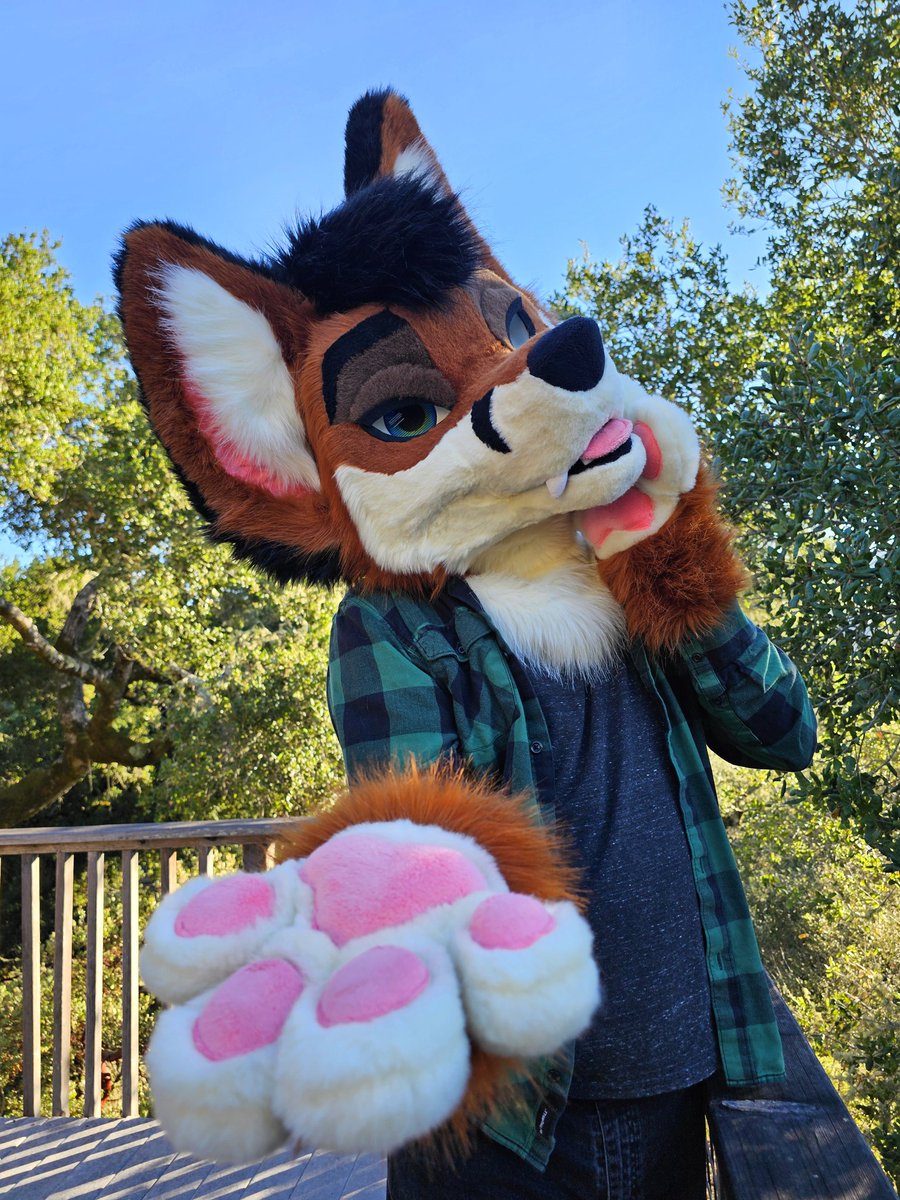 Taking offers on my fox partial! I adore this guy, but I never got the chance to wear him much so it's time for him to win over the heart of someone new ✨️

(❤️ + 🔁 are appreciated!)