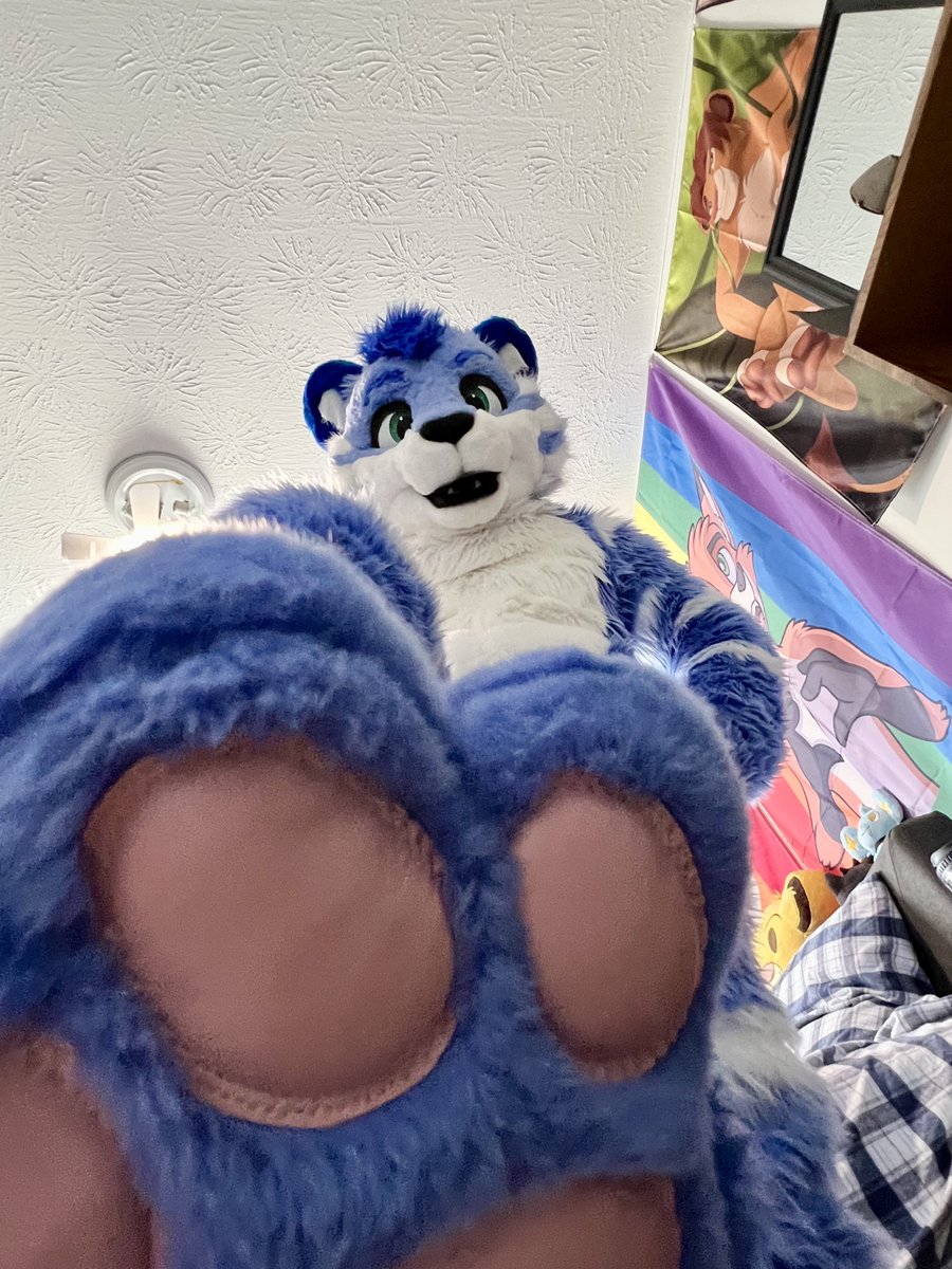 TybaricTiger's tweet image. Pawgust may be over, but I hear #Steptember is a thing 🐾👀

📸: SnepSakai