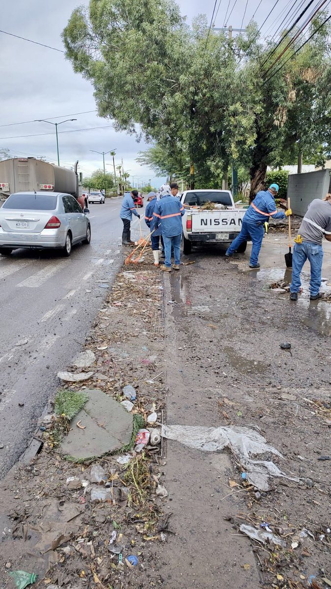 servpublicoshmo's tweet image. Tras las lluvias de anoche, trabajamos en la limpieza de las distintas parrillas pluviales de la ciudad. 🌦️

Tu también, #PrepárateParaLasLluvias y no tires tu basura en la calle. 🚯