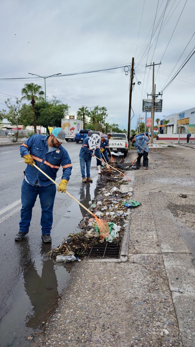 servpublicoshmo's tweet image. Tras las lluvias de anoche, trabajamos en la limpieza de las distintas parrillas pluviales de la ciudad. 🌦️

Tu también, #PrepárateParaLasLluvias y no tires tu basura en la calle. 🚯