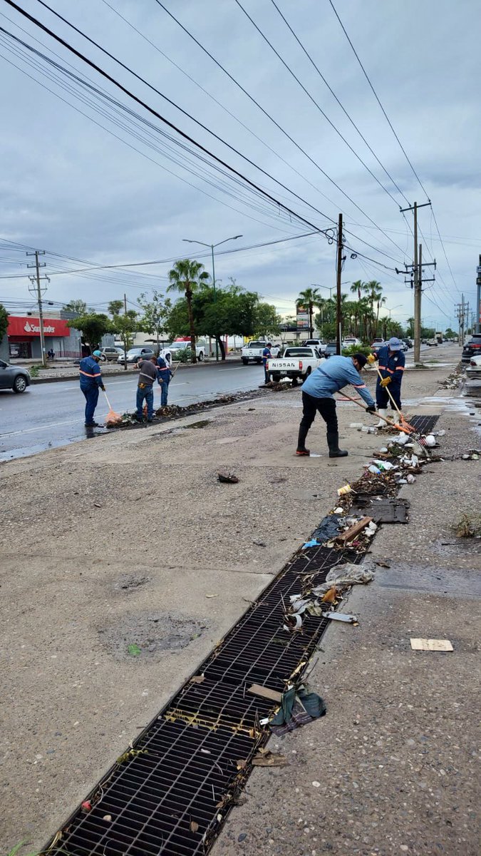servpublicoshmo's tweet image. Tras las lluvias de anoche, trabajamos en la limpieza de las distintas parrillas pluviales de la ciudad. 🌦️

Tu también, #PrepárateParaLasLluvias y no tires tu basura en la calle. 🚯