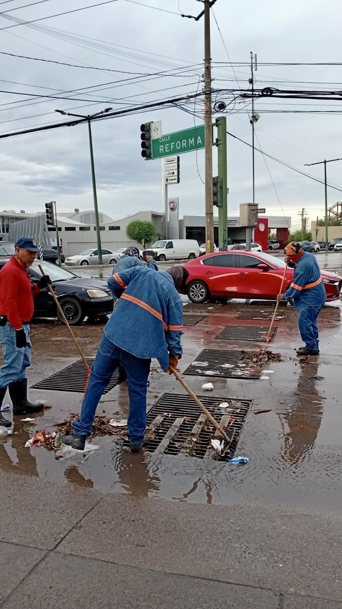 servpublicoshmo's tweet image. Tras las lluvias de anoche, trabajamos en la limpieza de las distintas parrillas pluviales de la ciudad. 🌦️

Tu también, #PrepárateParaLasLluvias y no tires tu basura en la calle. 🚯
