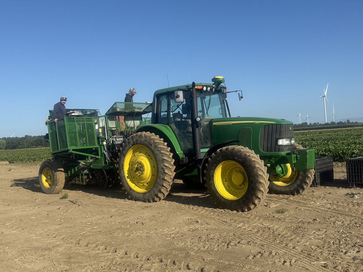 #HilleshogSeed Begins Internal Trial Harvest in Michigan! The team is working diligently near Port Hope at the Grekowicz farm, testing our high-performance sugarbeet varieties. Excited for the insights this harvest will bring! 

#HilleshogSeed #MichiganSugar #Sugarbeet