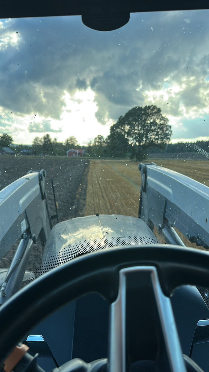 Jobba ideellt heja föreningsliv.