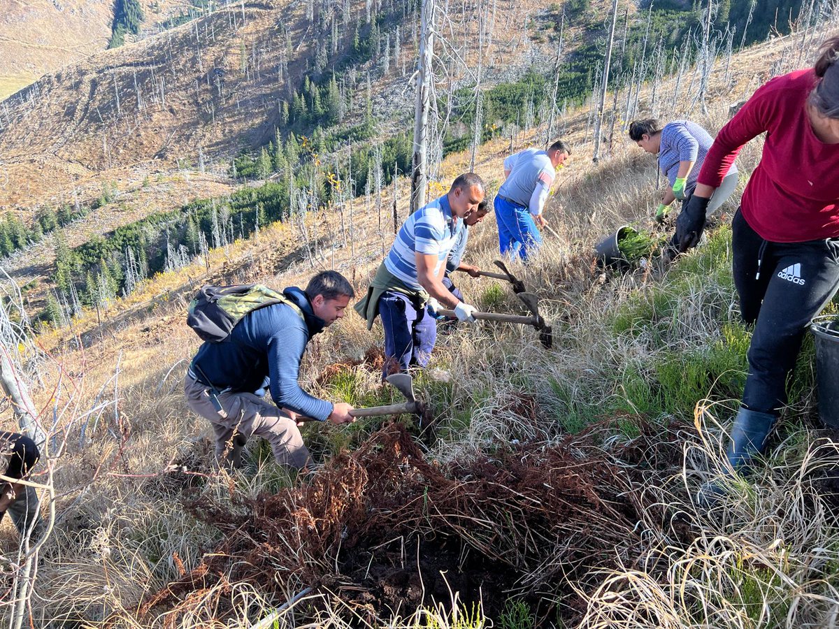 Forests Without Frontiers tweet media