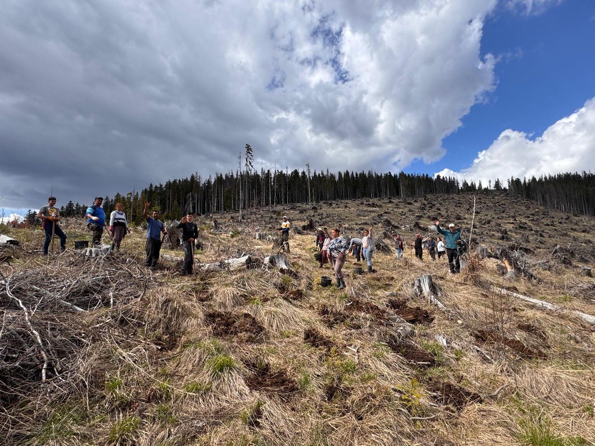 Forests Without Frontiers tweet media