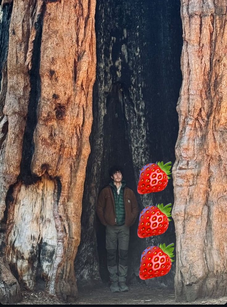 3 strawberries tall