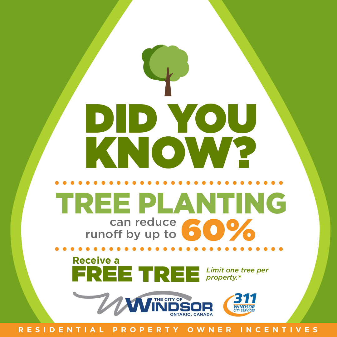 Windsor homeowners🏡, register now until September 21, 2025, to receive a free tree for planting on your private property. 🌳 Limited supply — only 200 available! To learn more, visit the link and select "Step 2": citywindsor.ca/eservices/stor… #YQG