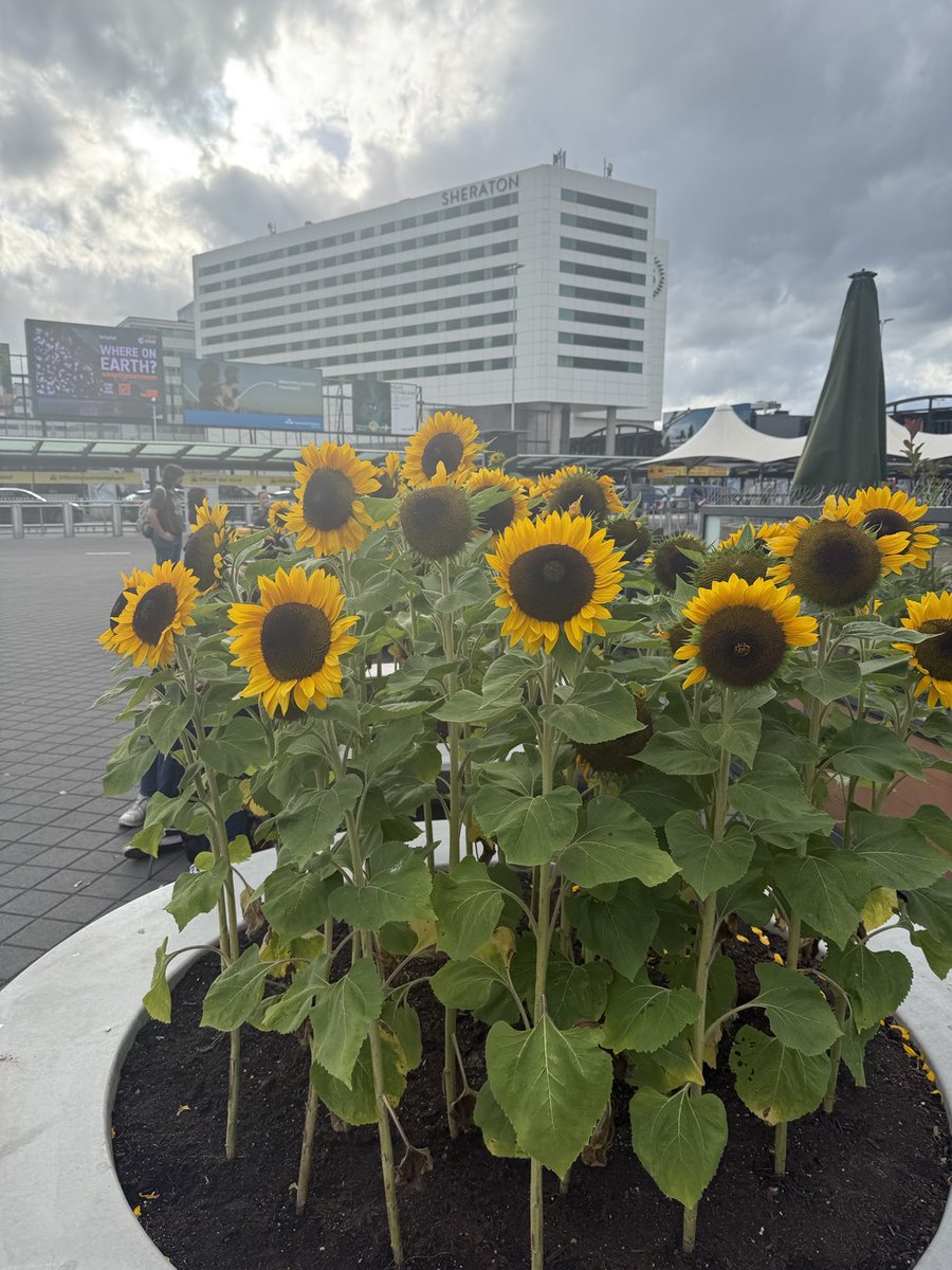 Schiphol. Meteen mooie kleuren