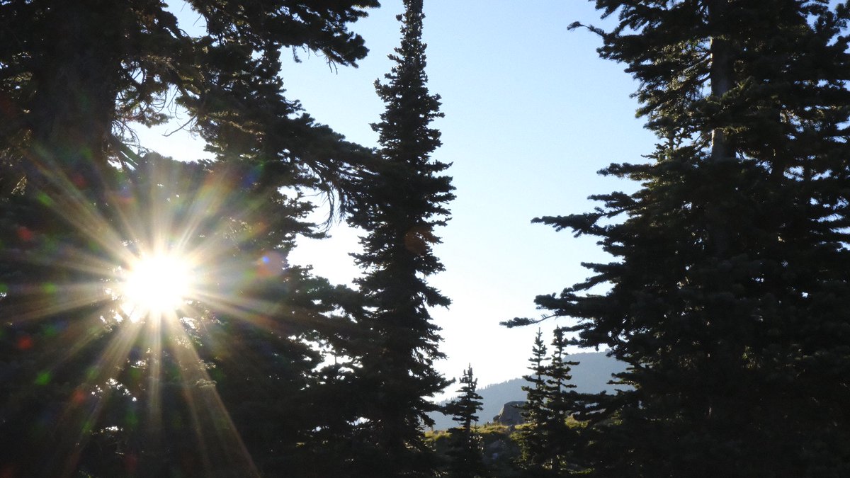 ctrlarchive's tweet photo. as long as you have the mountains, the sun, and each other — everything will be alright https://t.co/9rulAV5aoK