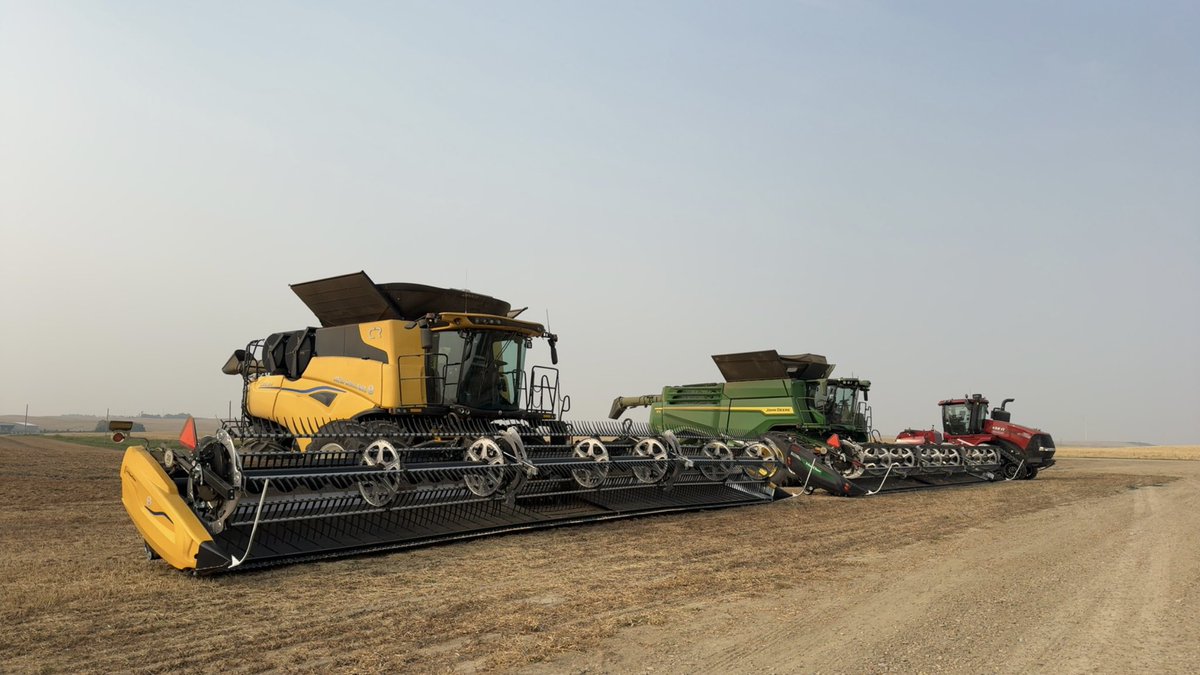 Ashton Nail tweet media