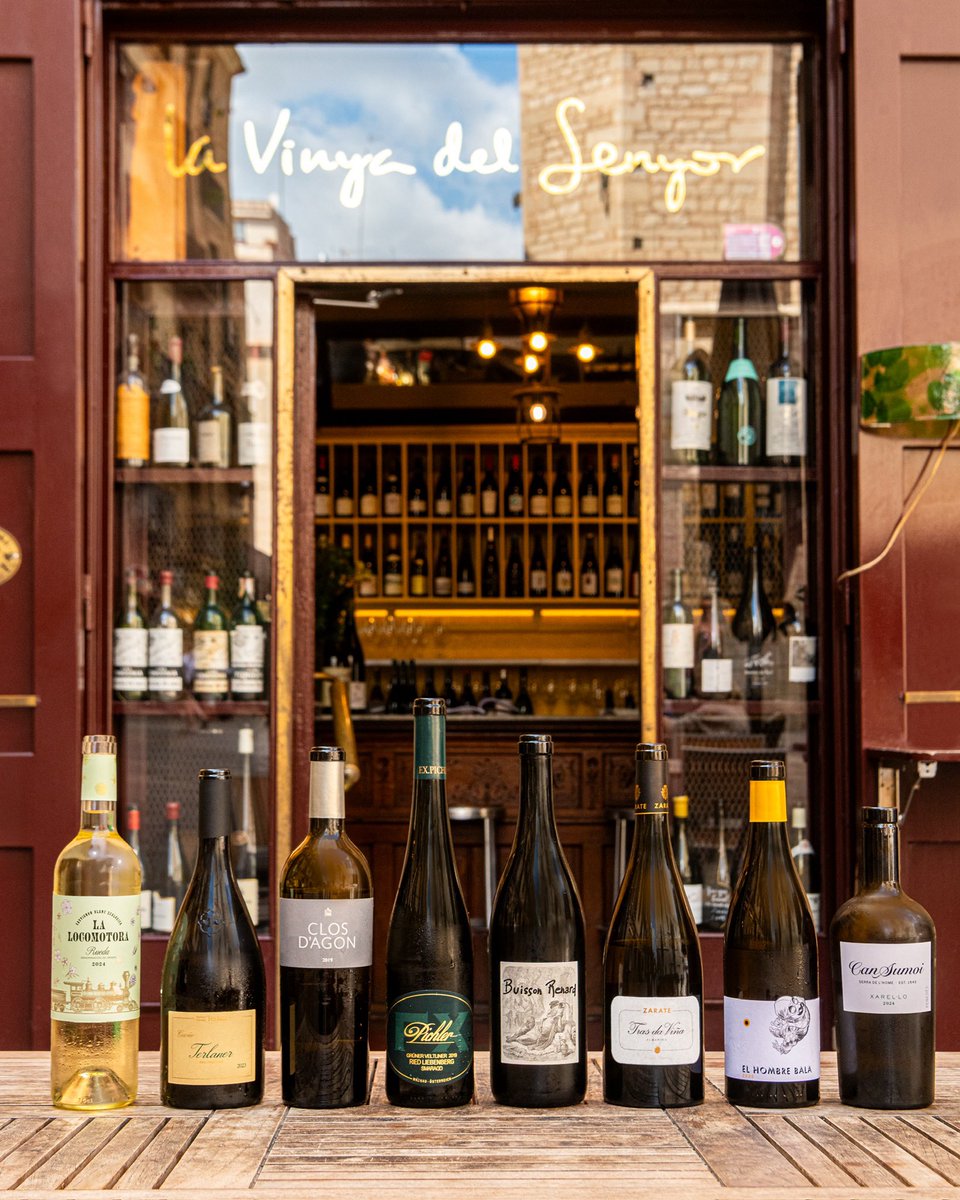 Eight irresistible white wines for the first half of September 👇🏻