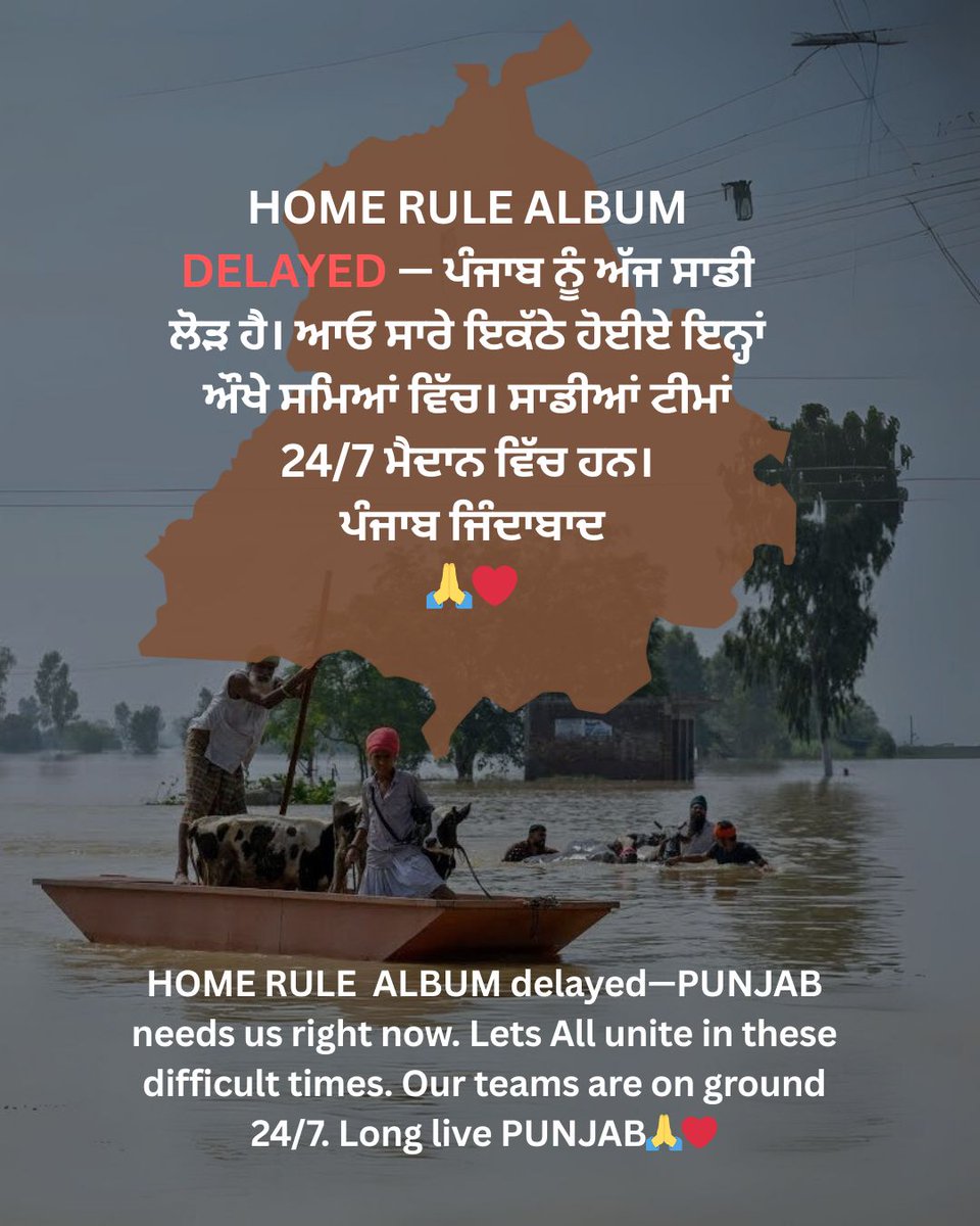 BULL18 NETWORK tweet media