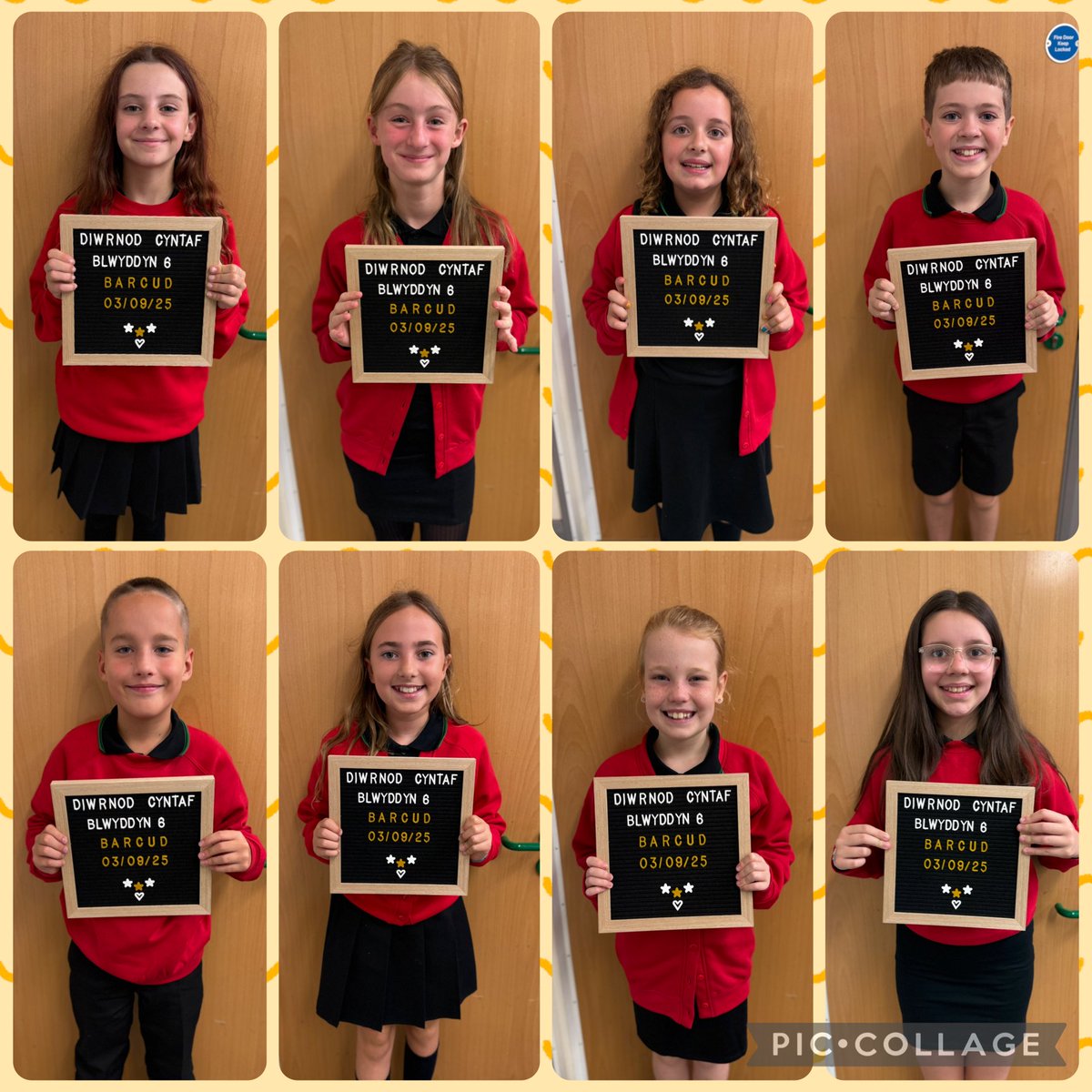 Dosbarth Barcud tweet media