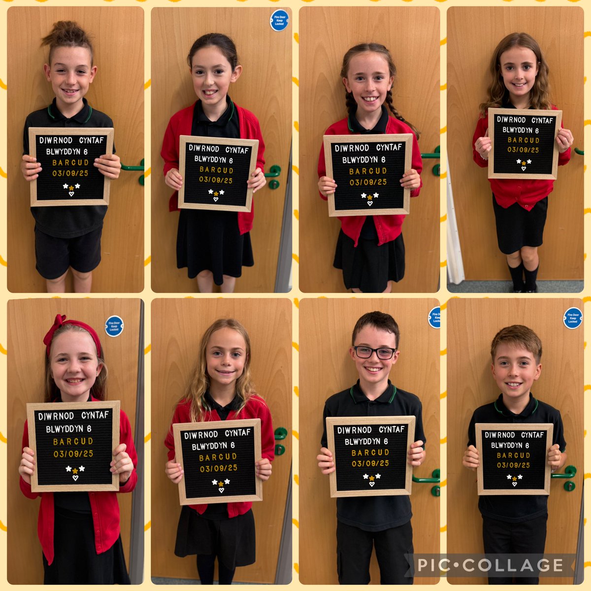 Dosbarth Barcud tweet media