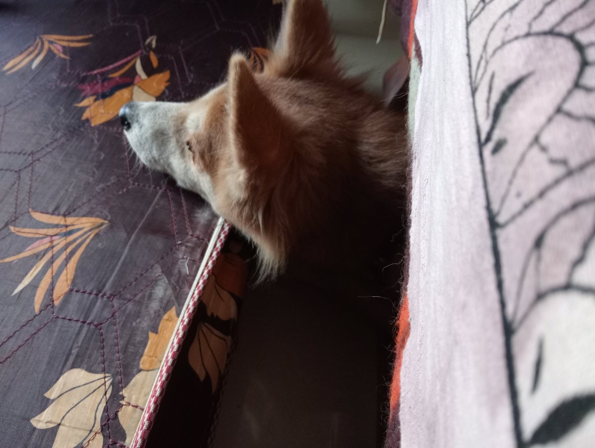 MMR_JSP's tweet image. జీవితాలను క్షణాల్లో తల క్రిందులు వాళ్ళు చేసిన బుడమేరు వరదల విషాదానికి ఏడాది.
 @chakravarthi__ గారూ గుర్తోందా