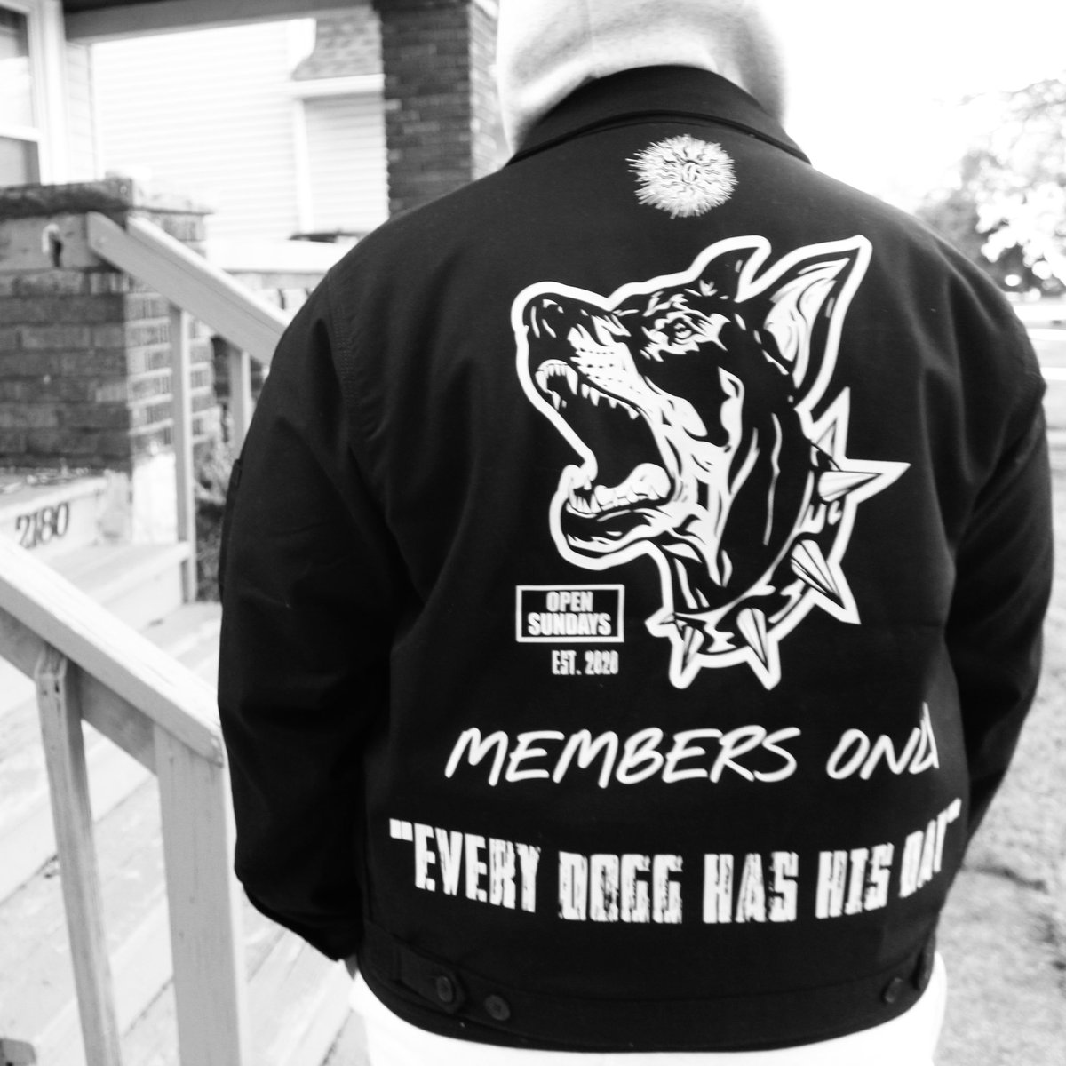 Quincy Bones🐾 tweet media