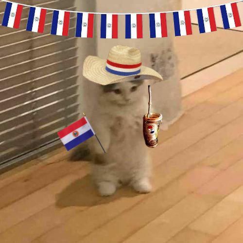 Yo en debiendo 10 tareas pero en la facu con el espíritu intacto porque hoy juega MI PAAAIIIS!!! 🇵🇾